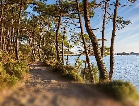 Daire - Le Marechal- Port De